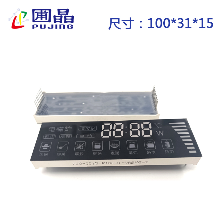 R10031