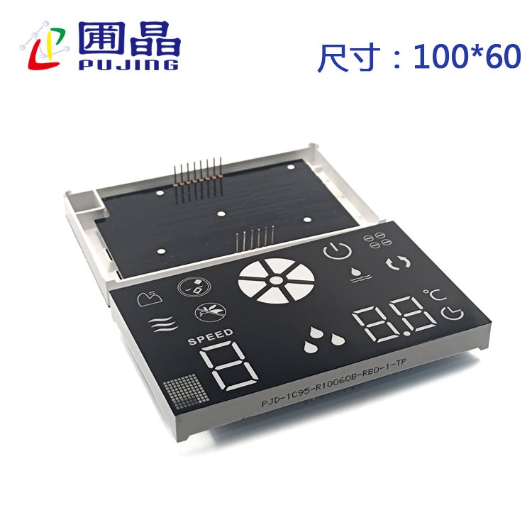 R10060B