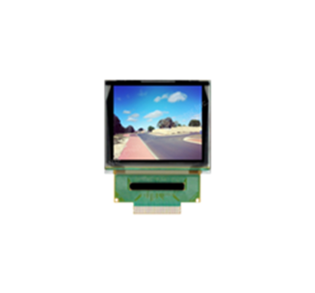 1.69-inch OLED color display
